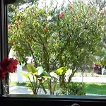 Marianthi Apartmán *