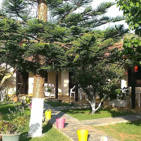 Apartamento Marianthi Lassi (Kefalonia)